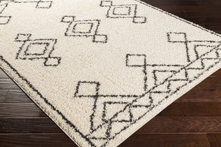 Surya Beni Shag BSH-2314 Area Rug Corner Shot