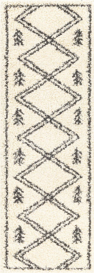 Surya Beni Shag BSH-2315 Area Rug 