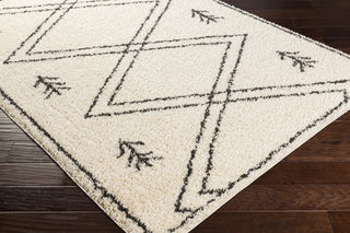 Surya Beni Shag BSH-2315 Area Rug Corner Shot