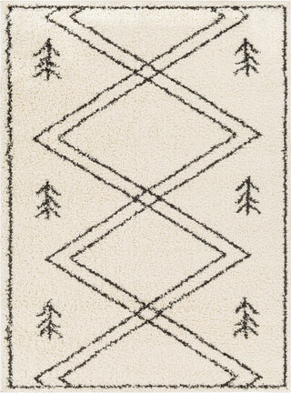 Surya Beni Shag BSH-2315 Area Rug main image