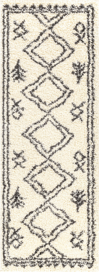 Surya Beni Shag BSH-2316 Area Rug 