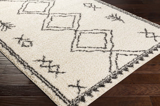 Surya Beni Shag BSH-2316 Area Rug Corner Shot