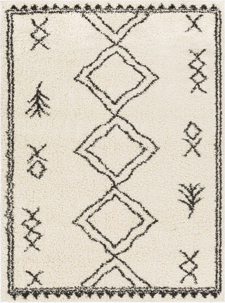 Surya Beni Shag BSH-2316 Area Rug main image