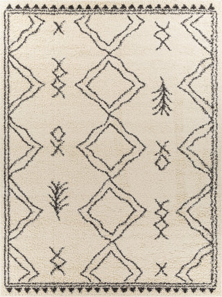 Surya Beni Shag BSH-2316 Area Rug 