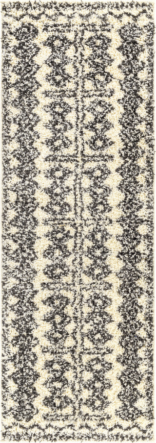 Surya Beni Shag BSH-2317 Area Rug 