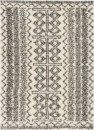 Surya Beni Shag BSH-2317 Area Rug main image