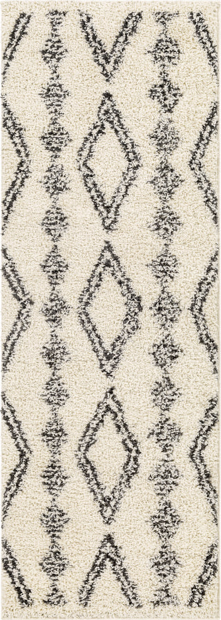 Surya Beni Shag BSH-2318 Area Rug 