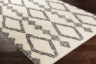 Surya Beni Shag BSH-2318 Area Rug Corner Shot