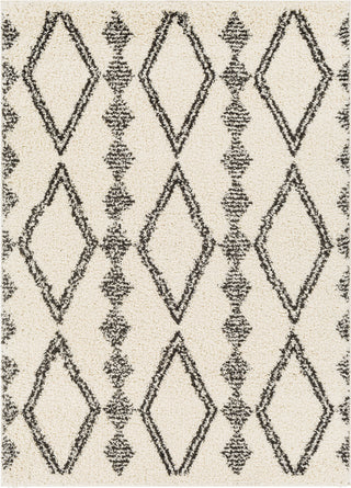 Surya Beni Shag BSH-2318 Area Rug main image