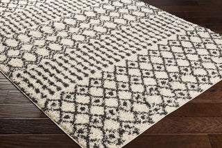 Surya Beni Shag BSH-2319 Area Rug Corner Shot