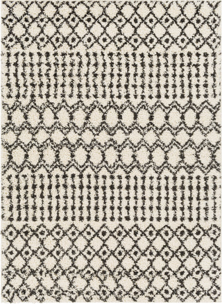 Surya Beni Shag BSH-2319 Area Rug main image