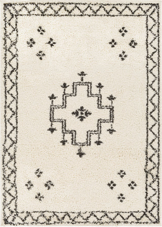 Surya Beni Shag BSH-2320 Area Rug Main Image 