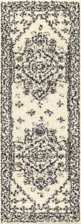 Surya Beni Shag BSH-2321 Area Rug 