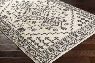 Surya Beni Shag BSH-2321 Area Rug Corner Shot