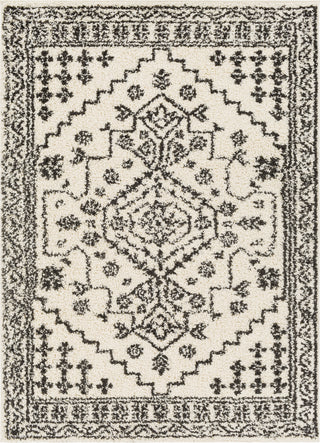 Surya Beni Shag BSH-2321 Area Rug main image