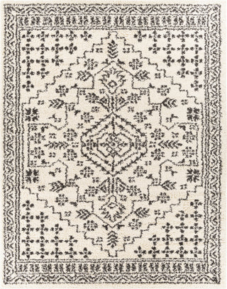 Surya Beni Shag BSH-2321 Area Rug 