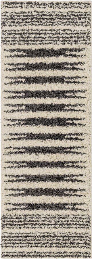 Surya Beni Shag BSH-2322 Area Rug 