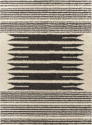 Surya Beni Shag BSH-2322 Area Rug 