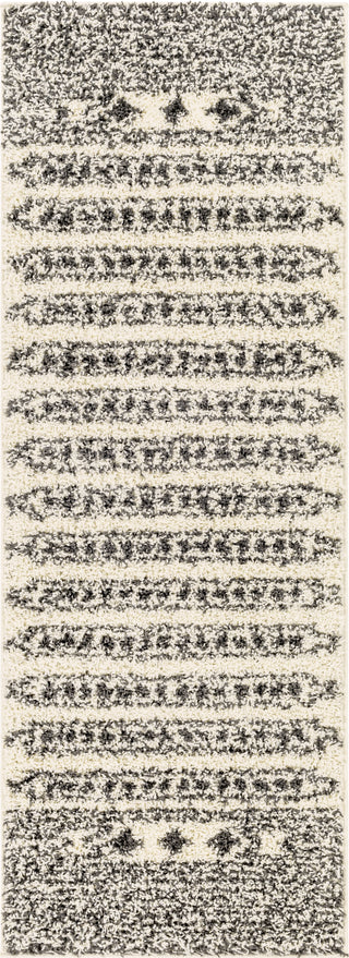 Surya Beni Shag BSH-2323 Area Rug 