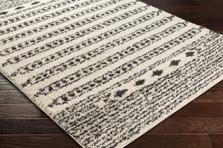 Surya Beni Shag BSH-2323 Area Rug Corner Shot