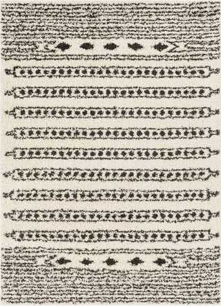 Surya Beni Shag BSH-2323 Area Rug main image