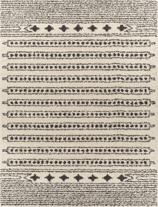 Surya Beni Shag BSH-2323 Area Rug 