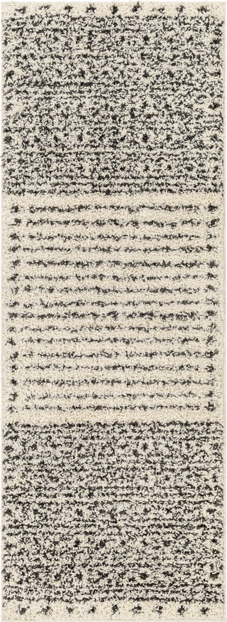 Surya Beni Shag BSH-2324 Area Rug 