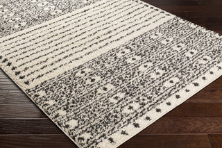 Surya Beni Shag BSH-2324 Area Rug Corner Shot