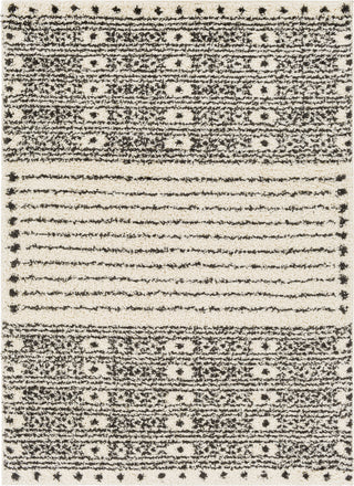 Surya Beni Shag BSH-2324 Area Rug main image