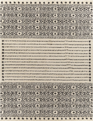 Surya Beni Shag BSH-2324 Area Rug 