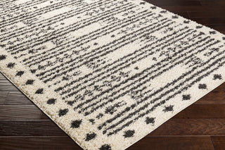 Surya Beni Shag BSH-2325 Area Rug Corner Shot