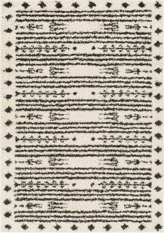 Surya Beni Shag BSH-2325 Area Rug main image