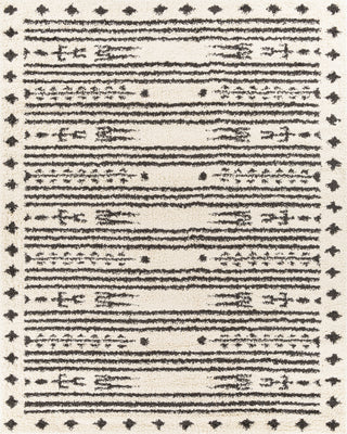 Surya Beni Shag BSH-2325 Area Rug 