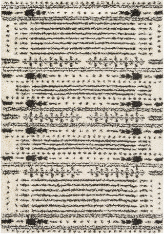 Surya Beni Shag BSH-2326 Area Rug main image