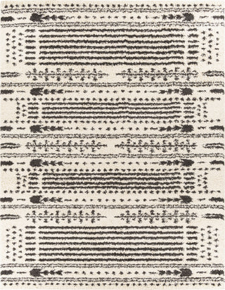 Surya Beni Shag BSH-2326 Area Rug 