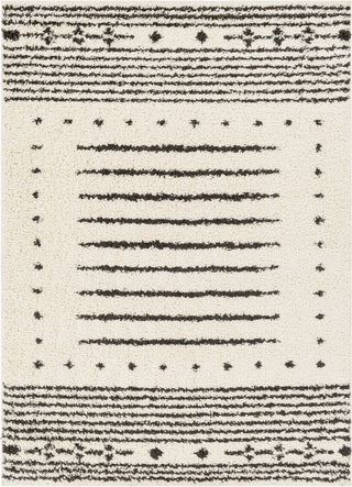 Surya Beni Shag BSH-2327 Area Rug main image