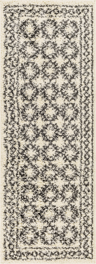 Surya Beni Shag BSH-2328 Area Rug 