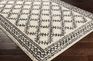Surya Beni Shag BSH-2328 Area Rug Corner Shot