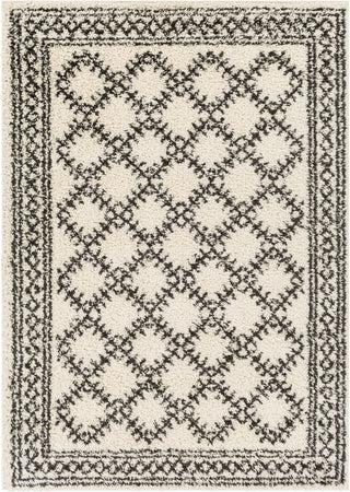 Surya Beni Shag BSH-2328 Area Rug main image