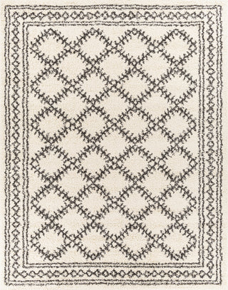 Surya Beni Shag BSH-2328 Area Rug 