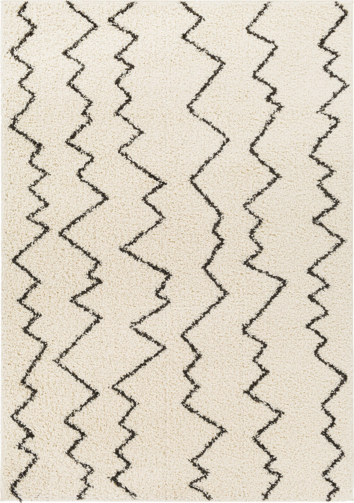 Surya Beni Shag BSH-2329 Area Rug main image