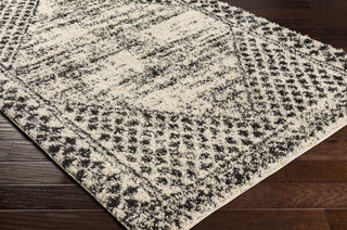 Surya Beni Shag BSH-2330 Area Rug Corner Shot