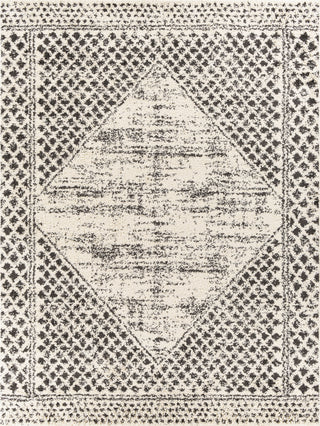 Surya Beni Shag BSH-2330 Area Rug 