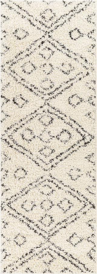 Surya Beni Shag BSH-2331 Area Rug 