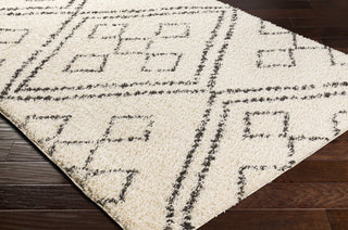 Surya Beni Shag BSH-2331 Area Rug Corner Shot