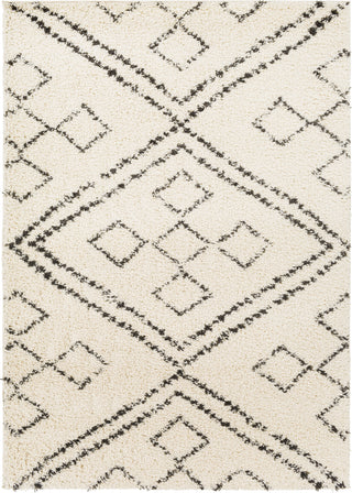 Surya Beni Shag BSH-2331 Area Rug main image