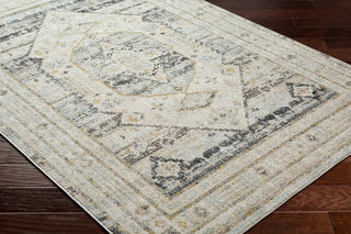 Surya Bitlis BSI-2300 Area Rug Corner Shot