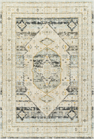 Surya Bitlis BSI-2300 Area Rug main image