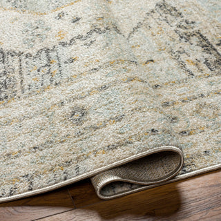 Surya Bitlis BSI-2300 Area Rug Pile