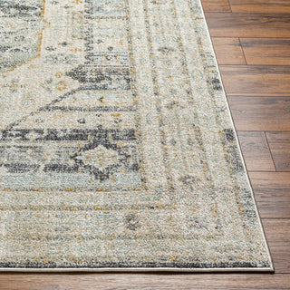 Surya Bitlis BSI-2300 Area Rug Angle